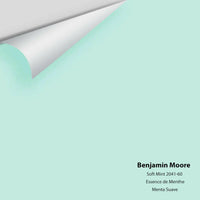 Big Paint Chip - Soft Mint 2041-60