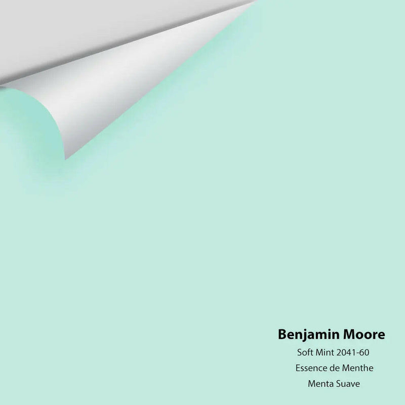 Big Paint Chip - Soft Mint 2041-60