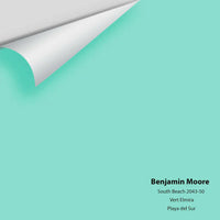 Big Paint Chip - South Beach 2043-50