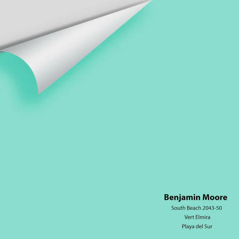 Big Paint Chip - South Beach 2043-50