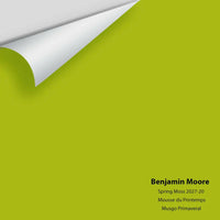 Big Paint Chip - Spring Moss 2027-20