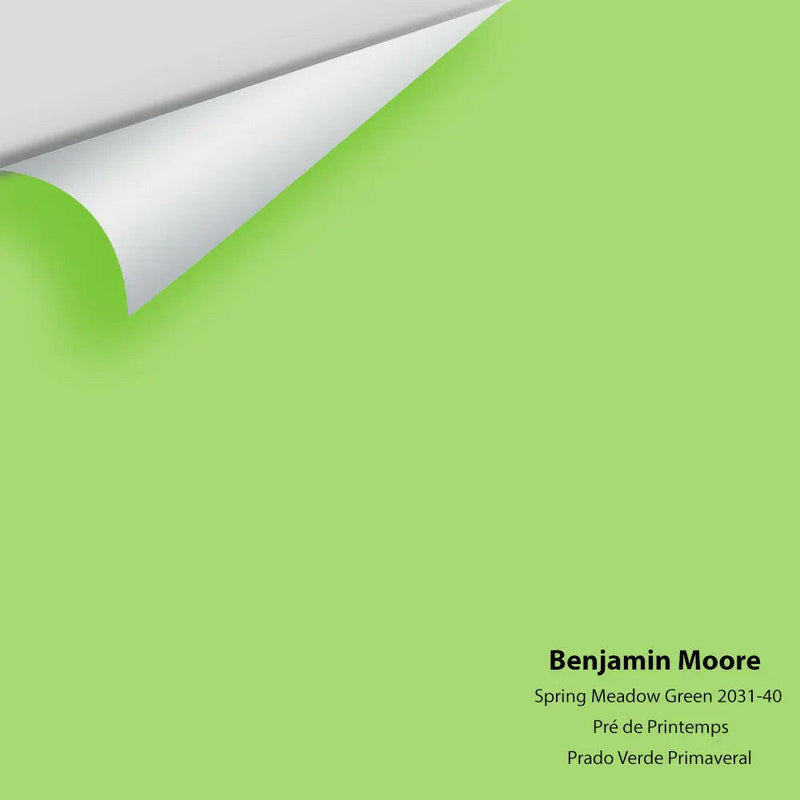 Big Paint Chip - Spring Meadow Green 2031-40