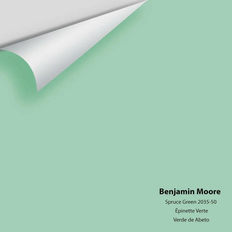 Big Paint Chip - Spruce Green 2035-50