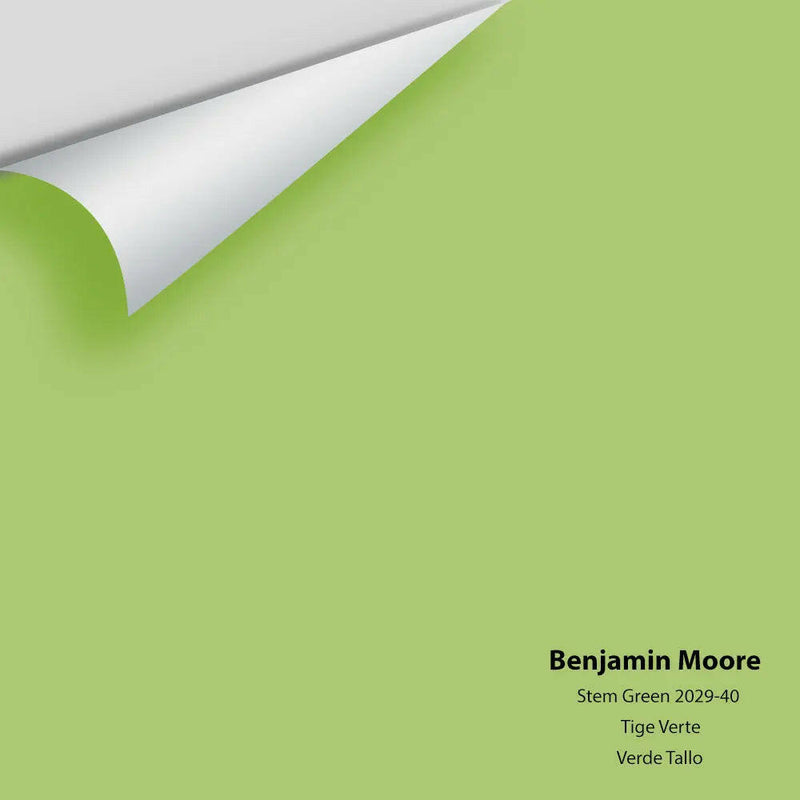 Big Paint Chip - Stem Green 2029-40