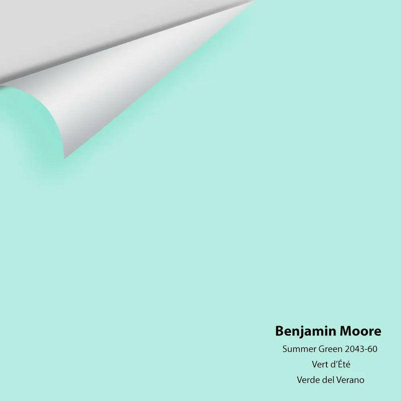 Big Paint Chip - Summer Green 2043-60