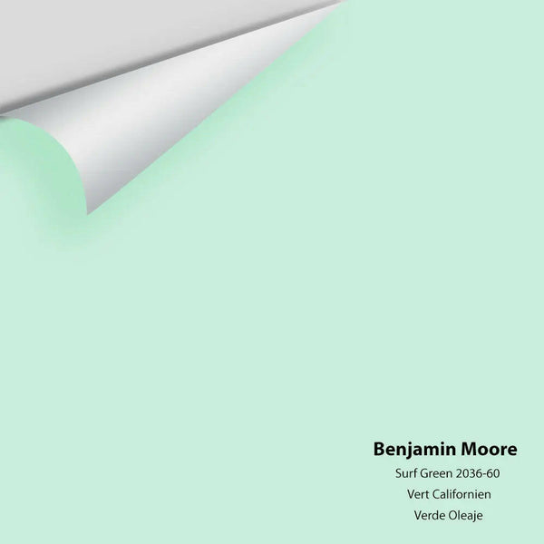 Big Paint Chip - Surf Green 2036-60