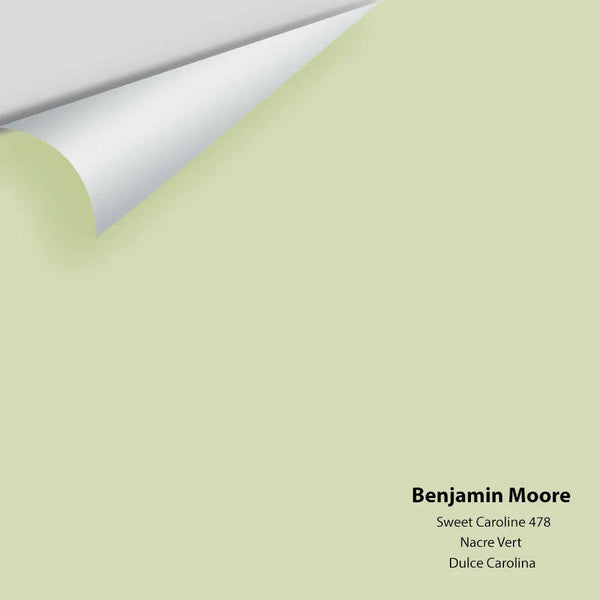 Big Paint Chip - Sweet Caroline 478