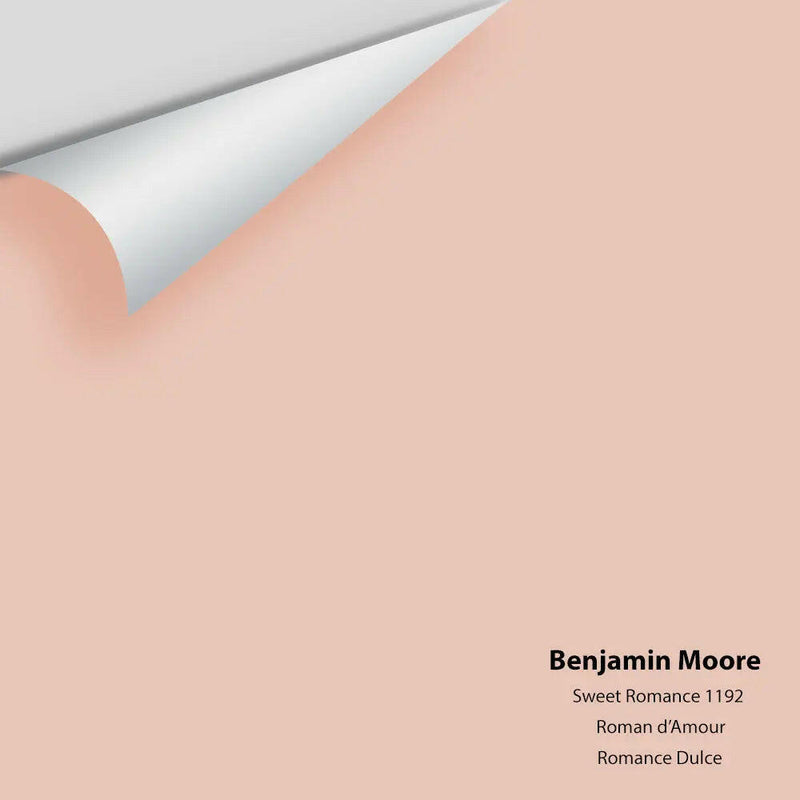 Big Paint Chip - Sweet Romance 1192