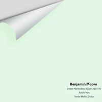Big Paint Chip - Sweet Honeydew Melon 2033-70