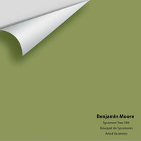Big Paint Chip - Sycamore Tree 539