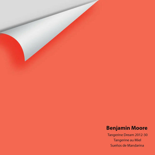 Big Paint Chip - Tangerine Dream 2012-30