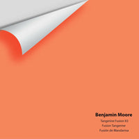 Big Paint Chip - Tangerine Fusion 83