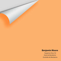 Big Paint Chip - Tangerine Zing 132