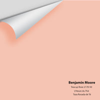 Benjamin Moore - Teacup Rose 2170-50 Colour Sample