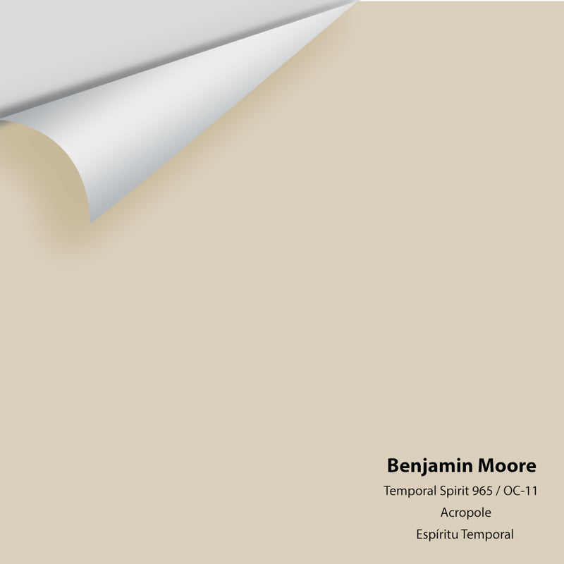 Benjamin Moore - Temporal Spirit 965 Colour Sample