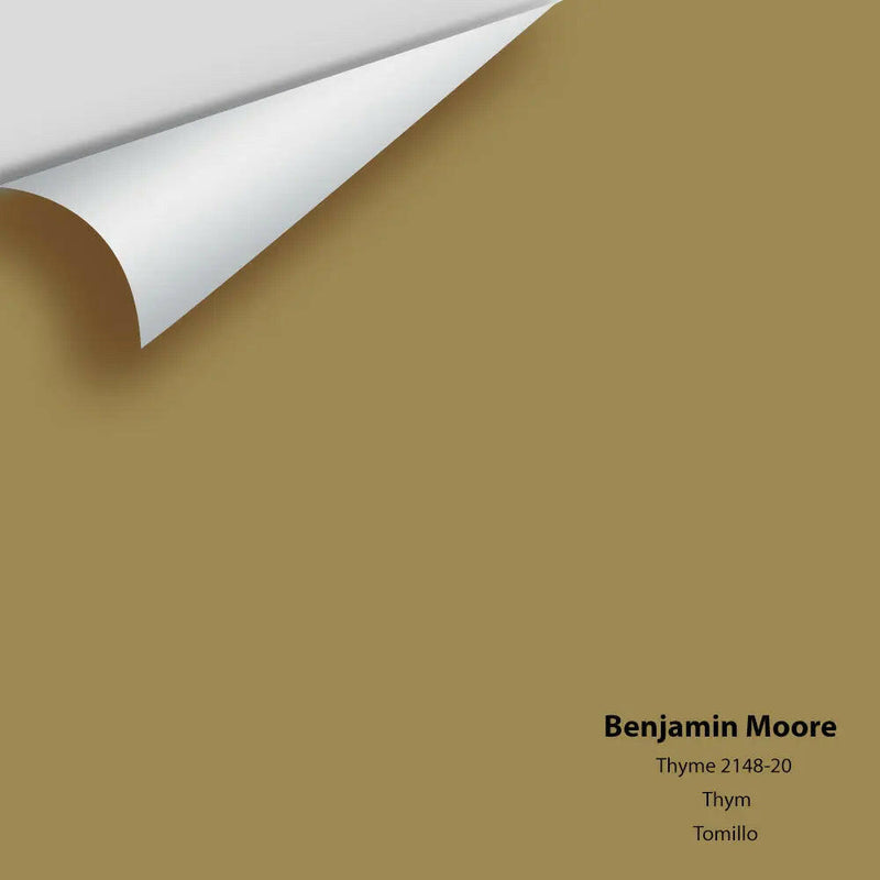 Big Paint Chip - Thyme 2148-20