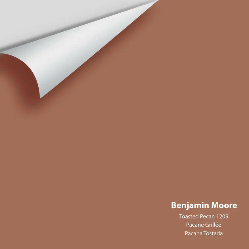 Big Paint Chip - Toasted Pecan 1209