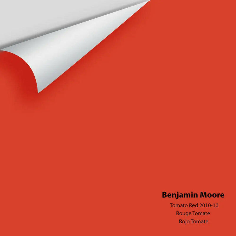 Big Paint Chip - Tomato Red 2010-10