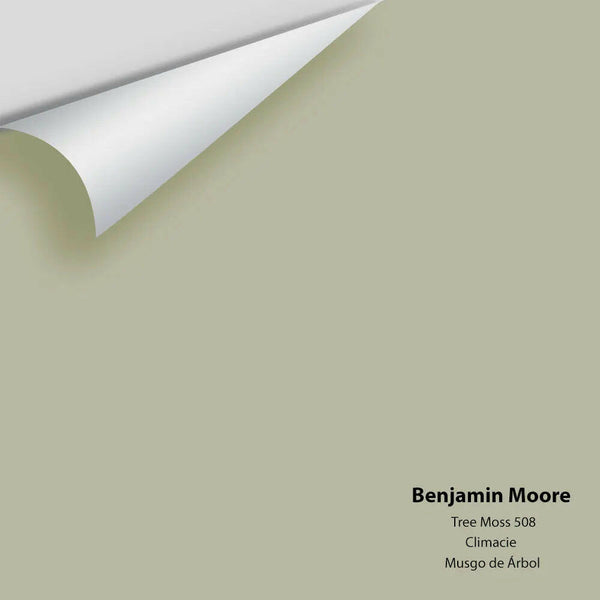 Benjamin Moore - Tree Moss 508 Colour Sample