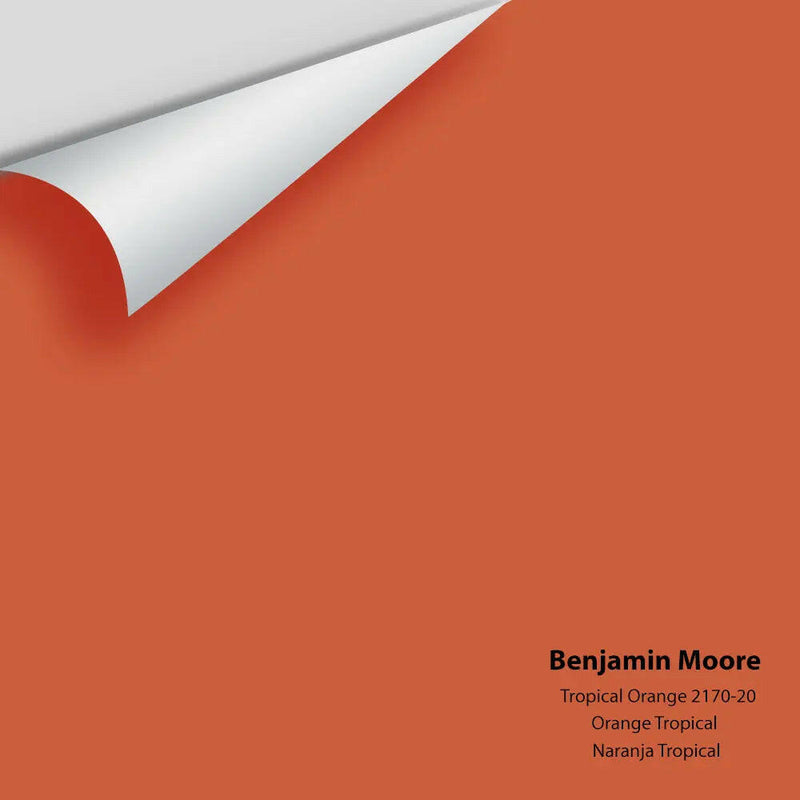 Big Paint Chip - Tropical Orange 2170-20