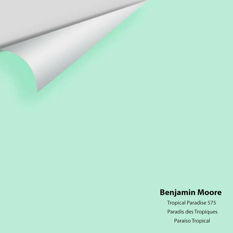 Big Paint Chip - Tropical Paradise 575