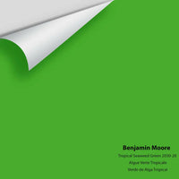 Big Paint Chip - Tropical Seaweed Green 2030-20
