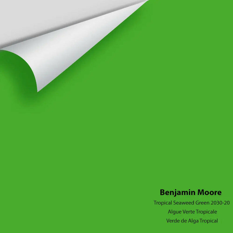 Big Paint Chip - Tropical Seaweed Green 2030-20