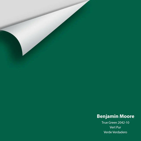 Big Paint Chip - True Green 2042-10