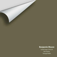 Big Paint Chip - Turtle Green 2142-20