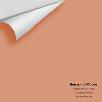 Big Paint Chip - Tuscan Tile CSP-1130