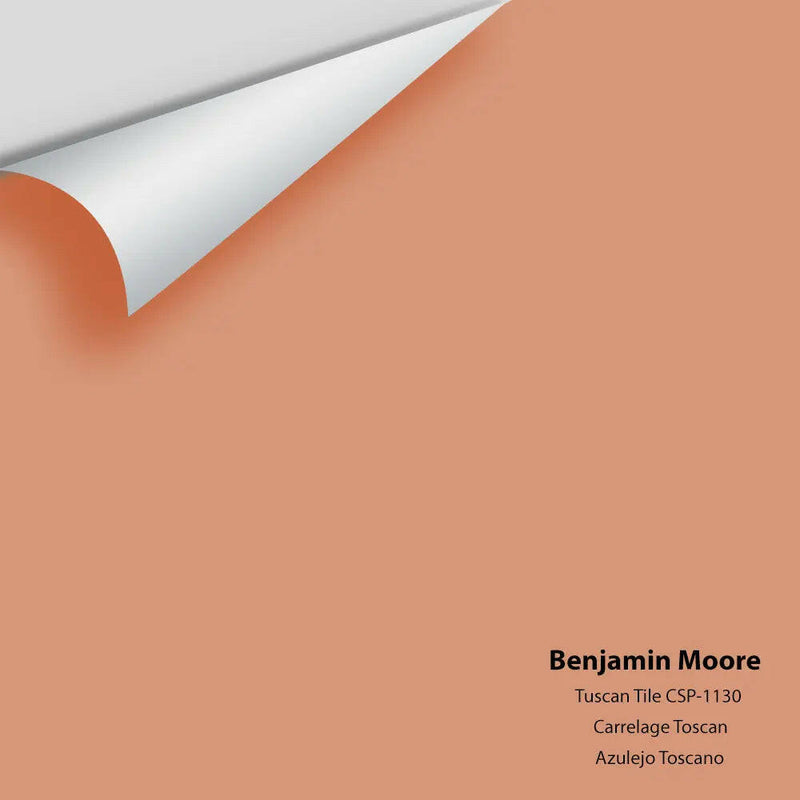 Big Paint Chip - Tuscan Tile CSP-1130