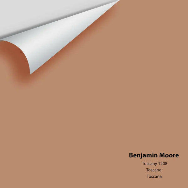 Big Paint Chip - Tuscany 1208