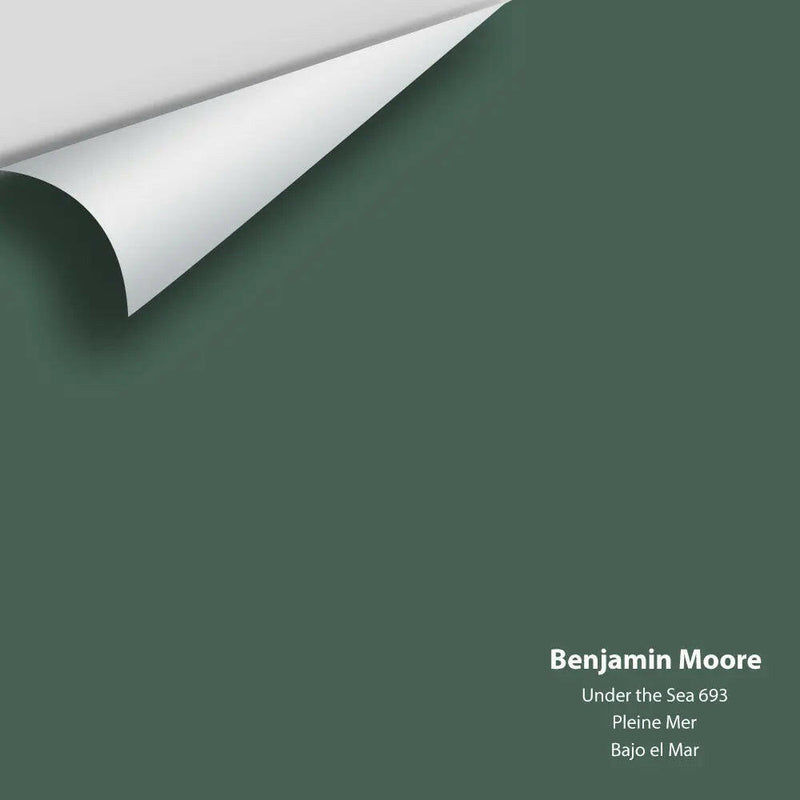 Benjamin Moore - Under the Sea 693 Colour Sample
