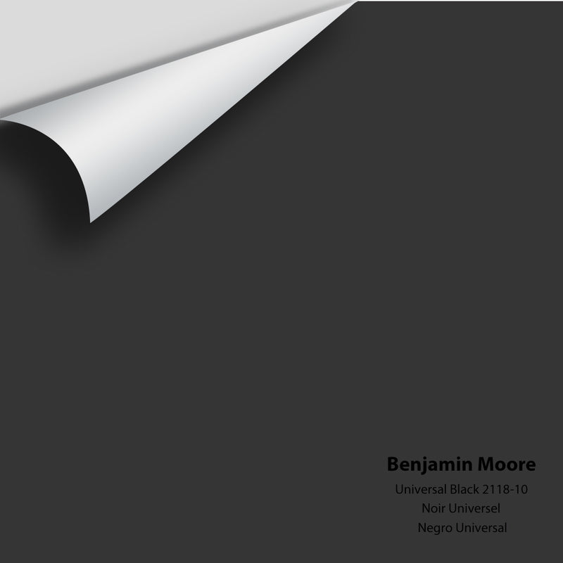 Benjamin Moore - Universal Black 2118-10 Colour Sample