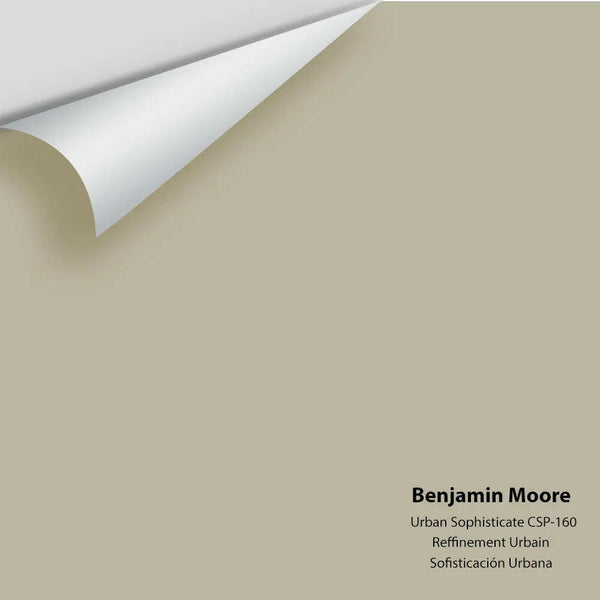 Big Paint Chip - Urban Sophisticate CSP-160
