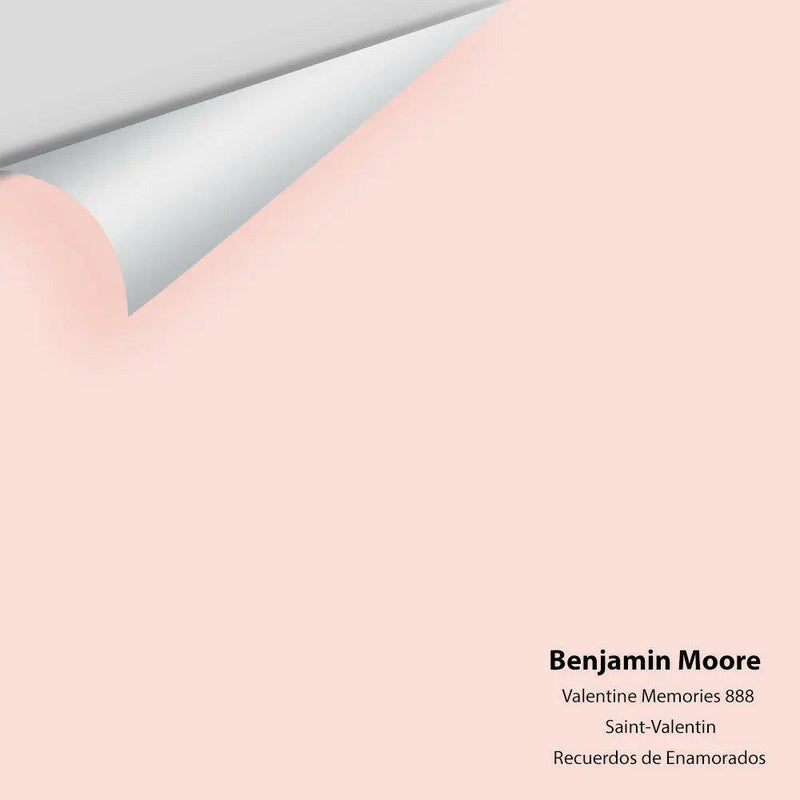 Big Paint Chip - Valentine Memories 888