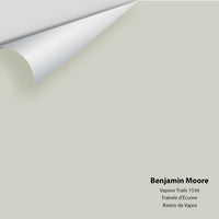 Benjamin Moore - Vapour Trails 1556 Colour Sample