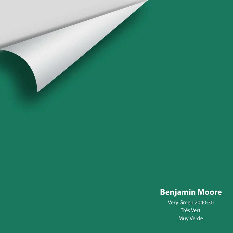 Big Paint Chip - Very Green 2040-30
