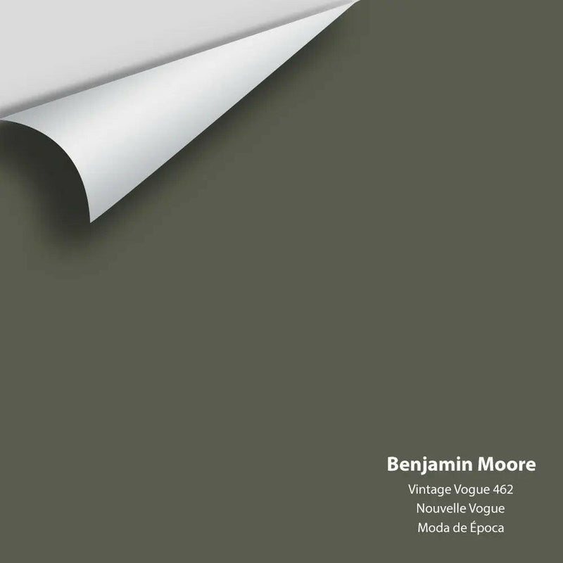 Benjamin Moore - Vintage Vogue 462 Colour Sample