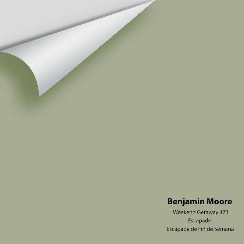 Benjamin Moore - Weekend Getaway 473 Colour Sample