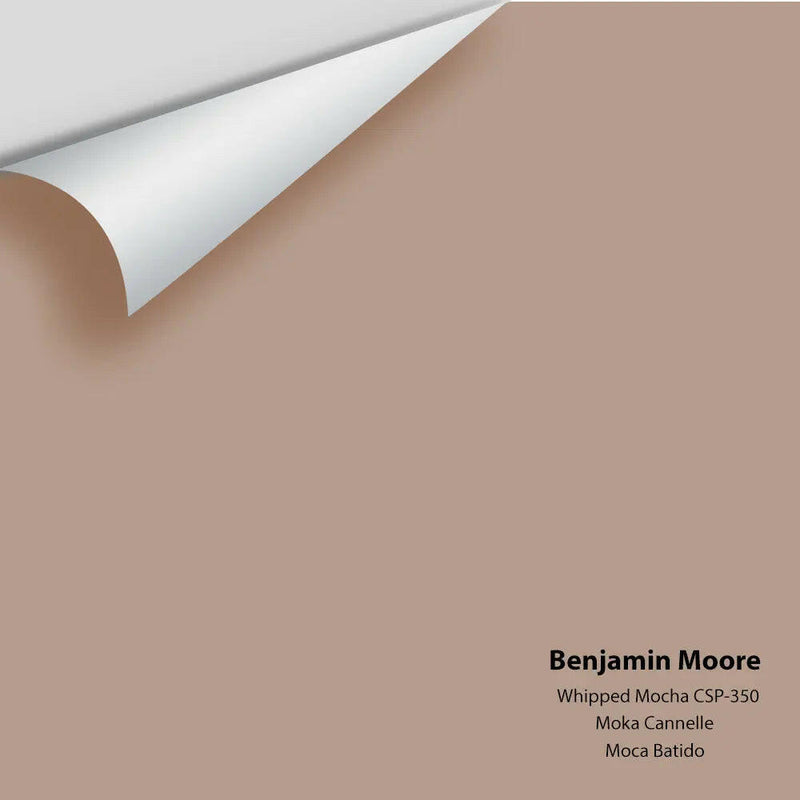 Big Paint Chip - Whipped Mocha CSP-350