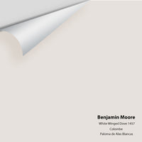 Benjamin Moore - White Winged Dove 1457 Colour Sample