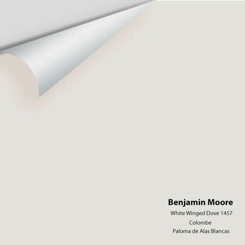 Benjamin Moore - White Winged Dove 1457 Colour Sample