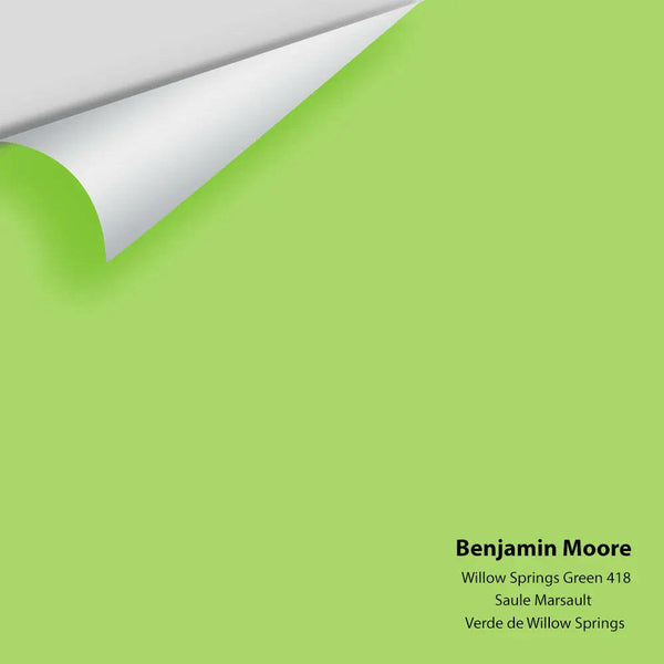 Big Paint Chip - Willow Springs Green 418