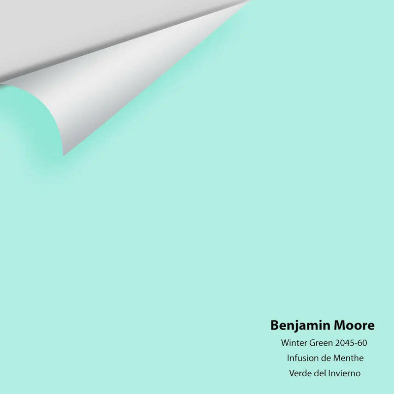 Big Paint Chip - Winter Green 2045-60