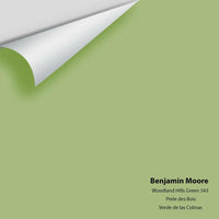 Big Paint Chip - Woodland Hills Green 543