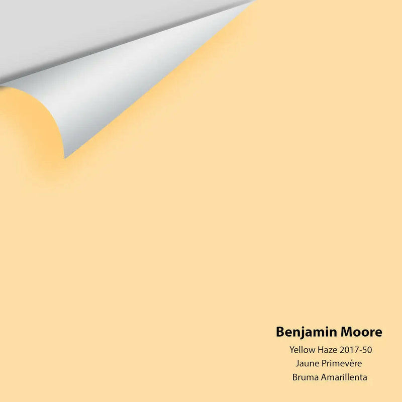 Big Paint Chip - Yellow Haze 2017-50