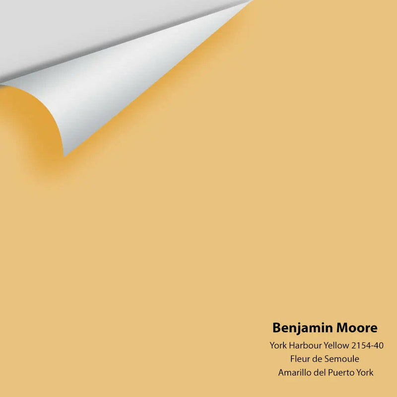 Big Paint Chip - York Harbour Yellow 2154-40