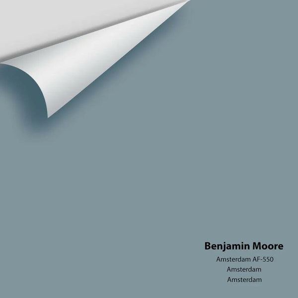 Benjamin Moore - Amsterdam AF-550 Colour Sample