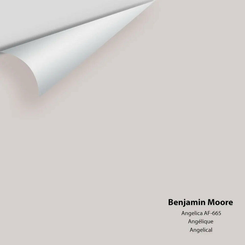 Benjamin Moore - Angelica AF-665 Colour Sample